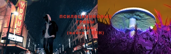 мет Вяземский