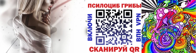 наркошоп  Красавино  Псилоцибиновые грибы Psilocybine cubensis 